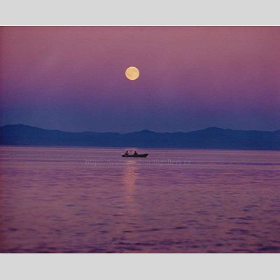 Salish Sea Moonlight Fishing Photography